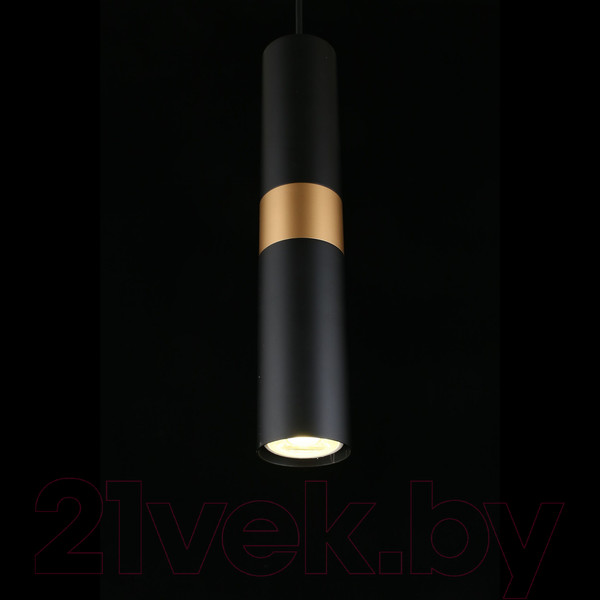 Изображение товара Потолочный светильник Aployt Mireil APL.607.06.01