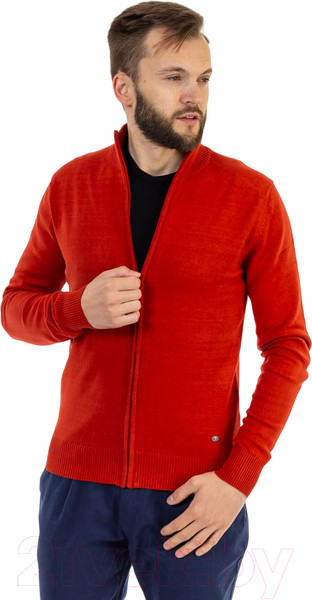 Изображение товара Байка Isee SG100068J (р.58, терракотовый)