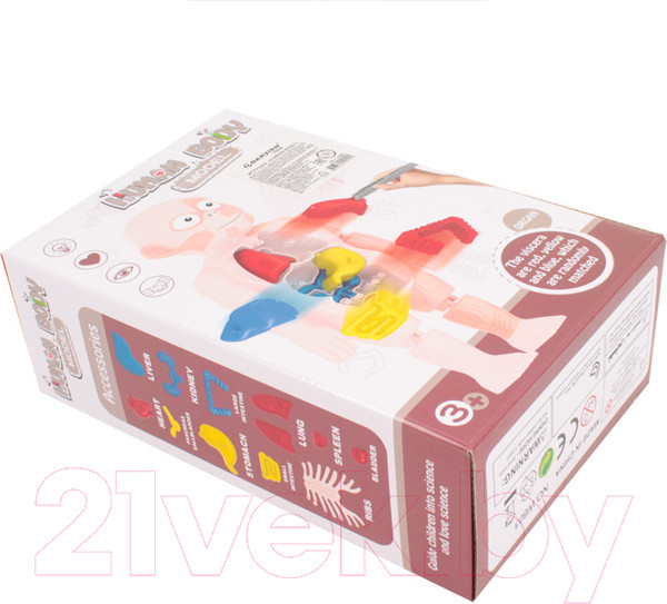 Изображение товара Научная игра Darvish Human Body / SR-T-3568