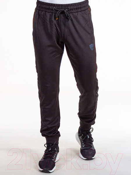 Изображение товара Спортивный костюм Isee WQ56075 (р.52, серый)