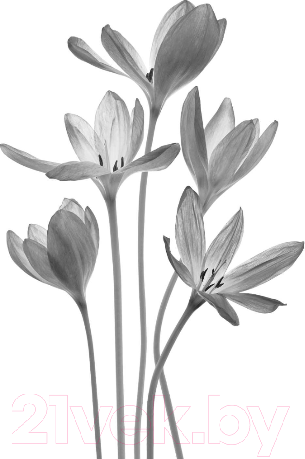 Изображение товара Книга Inspiria Из Лондона с любовью / 9785041542016 (Джио С.)