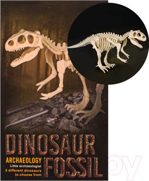 Изображение товара Набор для опытов Darvish Раскопки. Dinosaur / SR-T-3040