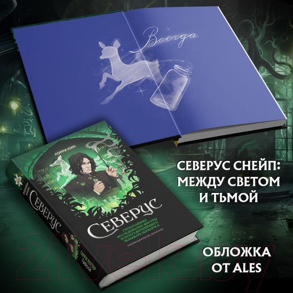 Изображение товара Книга Эксмо Северус / 9785041798765 (Ким Л.)