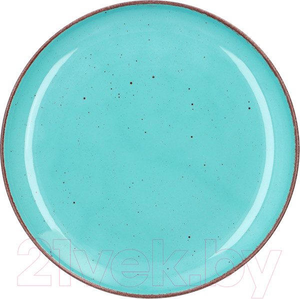 Изображение товара Тарелка столовая обеденная Cmielow i Chodziez Atelier City / CT05-0T01191 (бирюзовый)