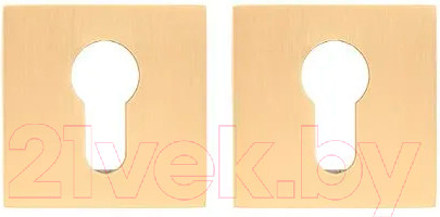 Изображение товара Накладка на цилиндр Code Deco Slim DP-C-30-GMS