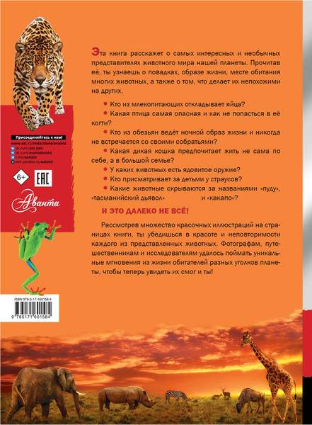 Изображение товара Энциклопедия АСТ Животные (2023), твердая обложка (Вайткене Любовь, Филиппова Мира)