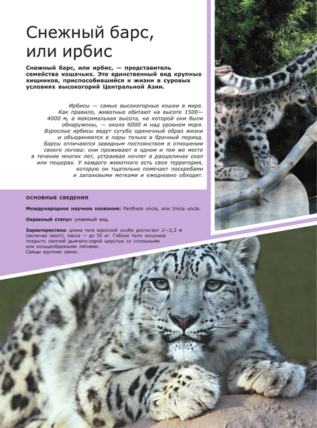 Изображение товара Энциклопедия АСТ Животные (2023), твердая обложка (Вайткене Любовь, Филиппова Мира)