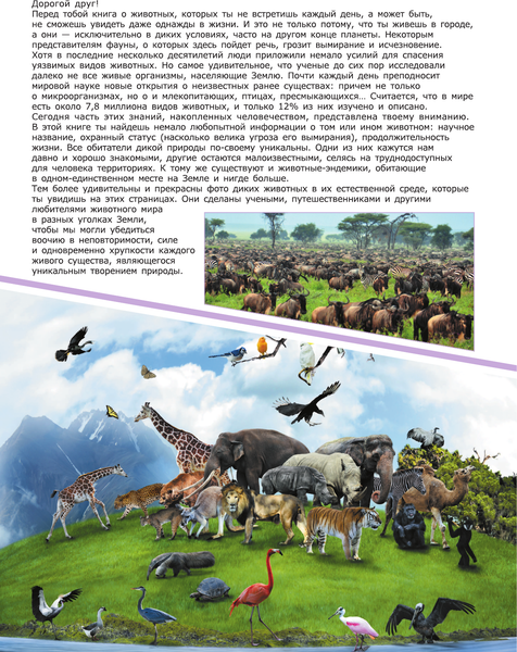 Изображение товара Энциклопедия АСТ Животные (2023), твердая обложка (Вайткене Любовь, Филиппова Мира)