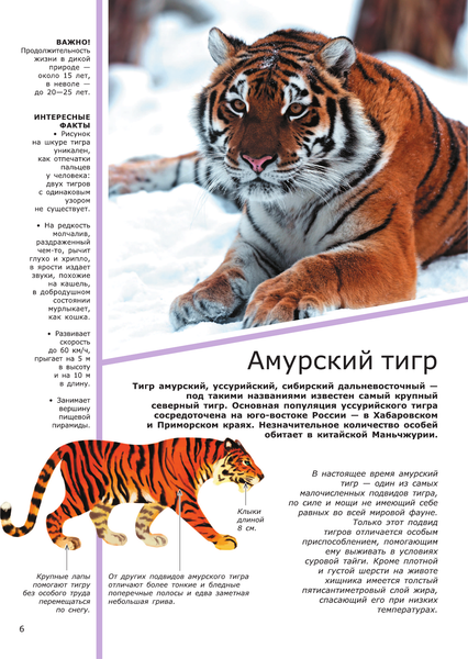 Изображение товара Энциклопедия АСТ Животные (2023), твердая обложка (Вайткене Любовь, Филиппова Мира)