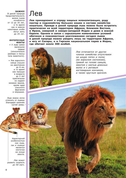 Изображение товара Энциклопедия АСТ Животные (2023), твердая обложка (Вайткене Любовь, Филиппова Мира)