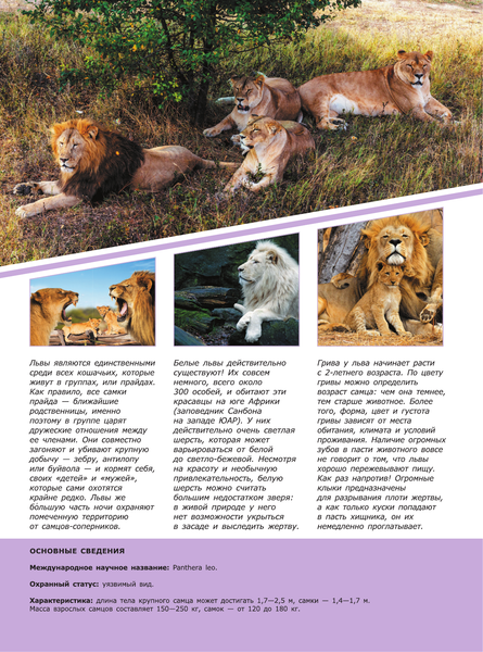 Изображение товара Энциклопедия АСТ Животные (2023), твердая обложка (Вайткене Любовь, Филиппова Мира)