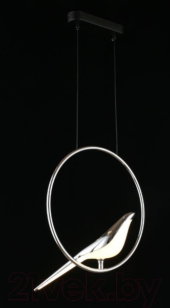 Изображение товара Потолочный светильник Aployt Astor APL.822.16.10