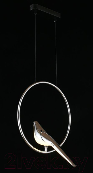 Изображение товара Потолочный светильник Aployt Astor APL.822.16.10