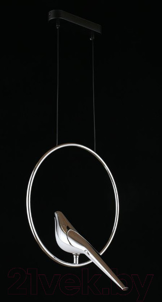 Изображение товара Потолочный светильник Aployt Astor APL.822.16.10