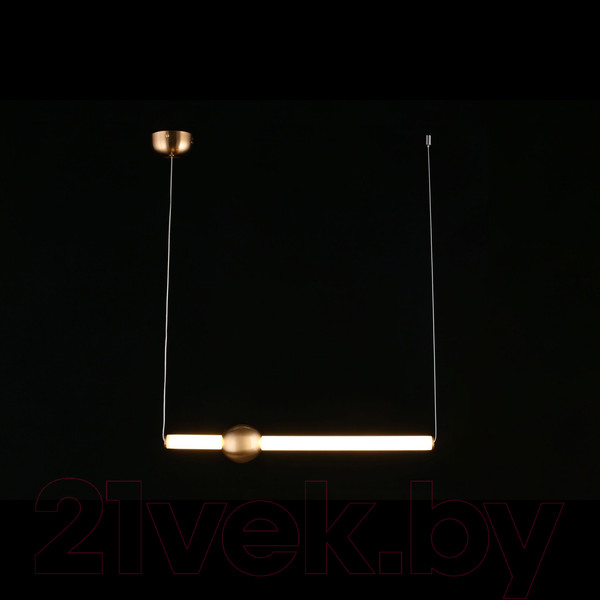 Изображение товара Потолочный светильник Aployt Zhozefin APL.038.16.20