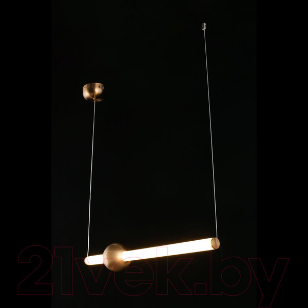 Изображение товара Потолочный светильник Aployt Zhozefin APL.038.16.20