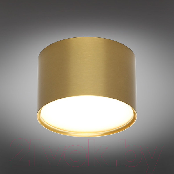 Изображение товара Точечный светильник Omnilux Salentino OML-100929-06