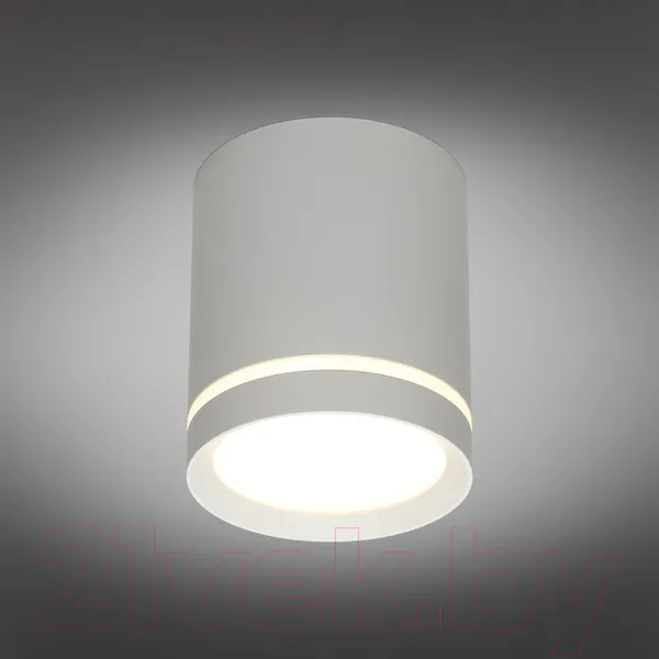 Изображение товара Точечный светильник Omnilux Capurso OML-102429-05
