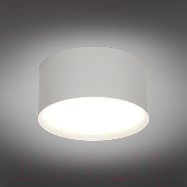 Изображение товара Точечный светильник Omnilux Abano OML-103309-12