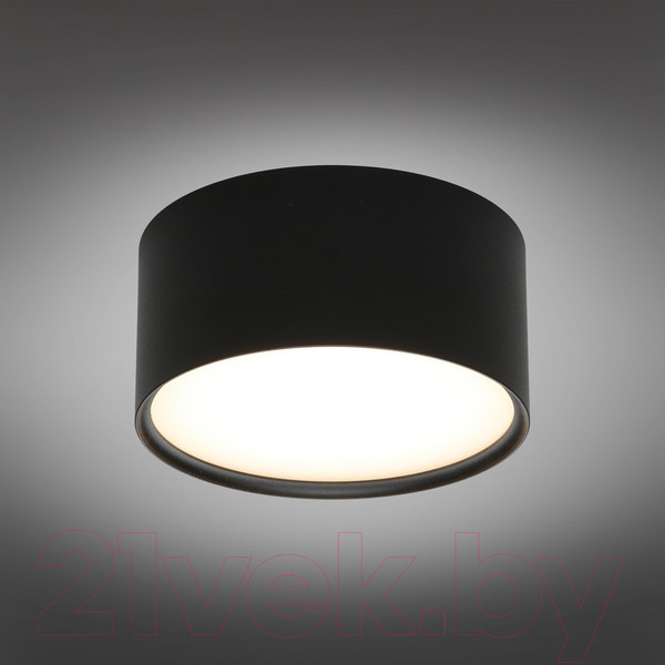 Изображение товара Точечный светильник Omnilux Abano OML-103319-12