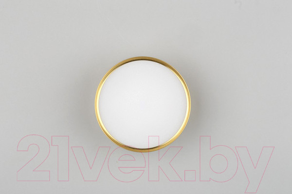 Изображение товара Точечный светильник Omnilux Abano OML-103329-12