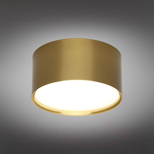 Изображение товара Точечный светильник Omnilux Abano OML-103329-12