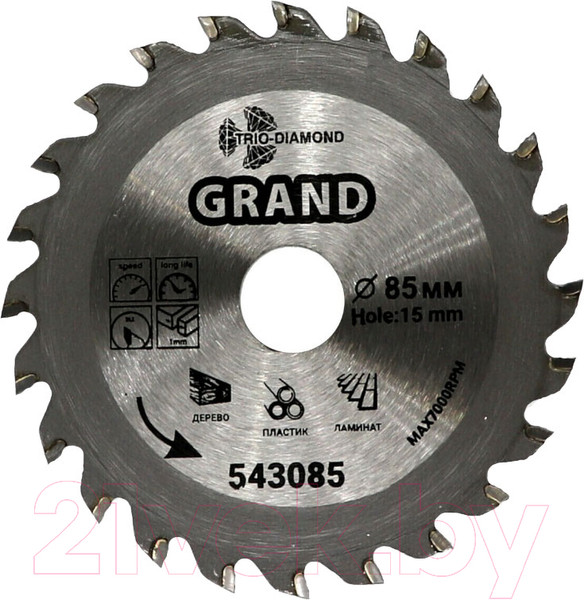 Изображение товара Пильный диск Trio Diamond 543085