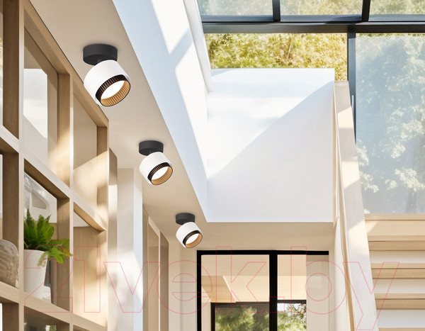 Изображение товара Спот Ambrella TN71282 BK/GD (черный/золото)