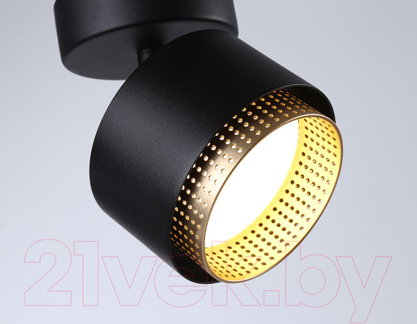 Изображение товара Спот Ambrella TN71282 BK/GD (черный/золото)