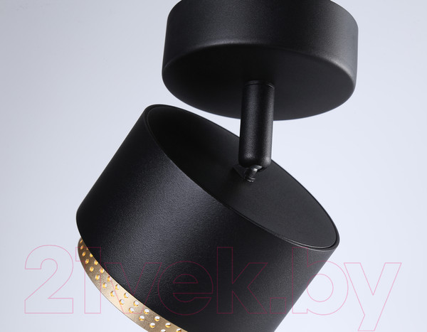 Изображение товара Спот Ambrella TN71282 BK/GD (черный/золото)