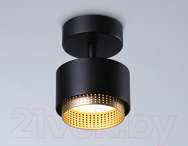 Изображение товара Спот Ambrella TN71282 BK/GD (черный/золото)