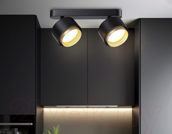 Изображение товара Спот Ambrella TN71288/2 BK/GD (черный/золото)