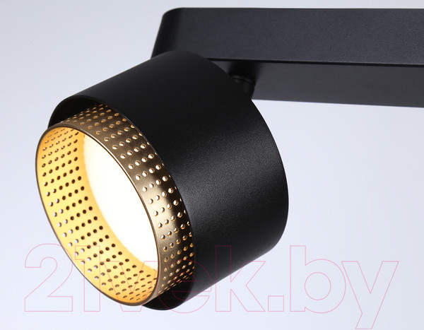 Изображение товара Спот Ambrella TN71288/2 BK/GD (черный/золото)