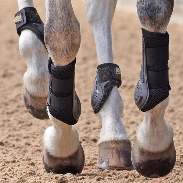 Изображение товара Ногавки для лошади Arma Oxi-Zone Brush / 1942/BLACK/COB (черный, пара)