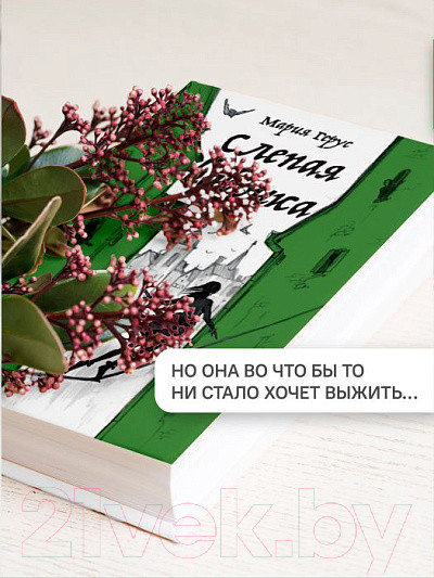 Изображение товара Книга Никея Слепая бабочка / 9785907661608 (Герус М.)