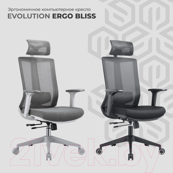Изображение товара Кресло офисное Evolution Ergo Bliss (серый)