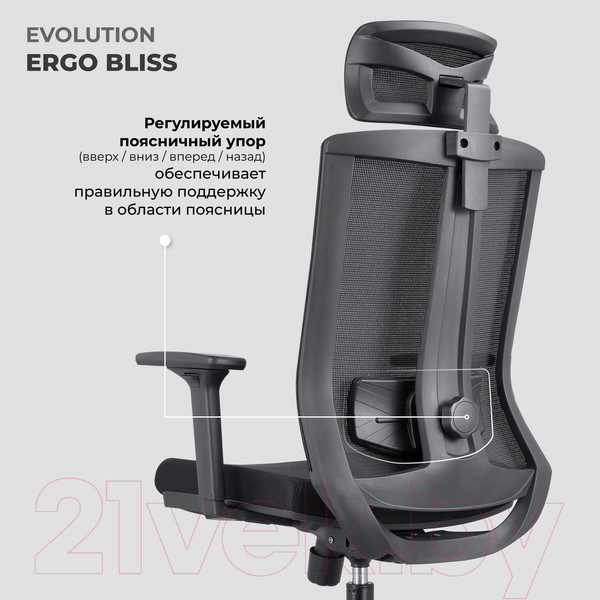 Изображение товара Кресло офисное Evolution Ergo Bliss (серый)