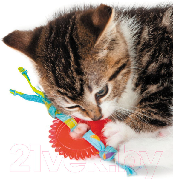 Изображение товара Игрушка для кошек Petstages Dental Орка колесико / 715