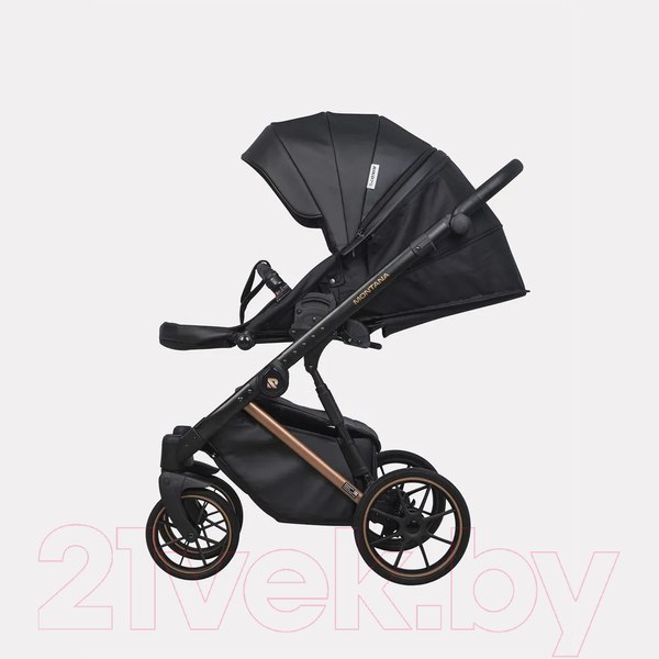 Изображение товара Детская универсальная коляска Riko Montana Premium 2 в 1 (12, черный, рама медь)
