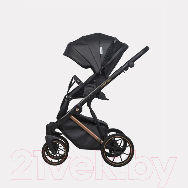 Изображение товара Детская универсальная коляска Riko Montana Premium 2 в 1 (12, черный, рама медь)