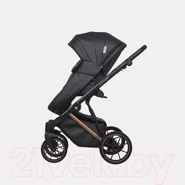 Изображение товара Детская универсальная коляска Riko Montana Premium 2 в 1 (12, черный, рама медь)