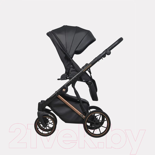 Изображение товара Детская универсальная коляска Riko Montana Premium 2 в 1 (12, черный, рама медь)