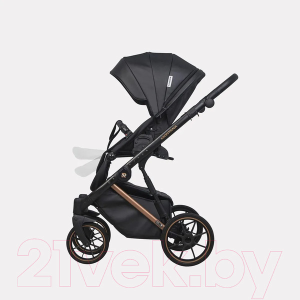 Изображение товара Детская универсальная коляска Riko Montana Premium 2 в 1 (12, черный, рама медь)