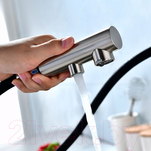 Изображение товара Смеситель Paulmark Serpentine Se213222-NI