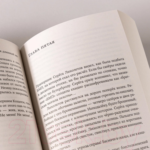 Изображение товара Книга Альпина Ненастье. Покет / 9785002230952 (Иванов А.В.)