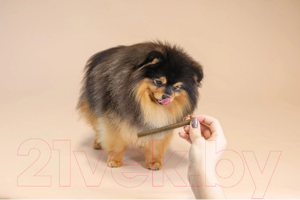 Изображение товара Лакомство для собак Nature's Protection Lifestyle Grain Free с белой рыбой / KIKNPLS47205 (110г)