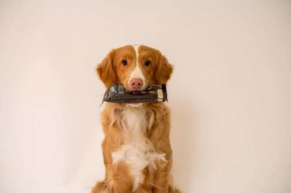 Изображение товара Лакомство для собак Nature's Protection Lifestyle Grain Free с белой рыбой / KIKNPLS47203 (150г)