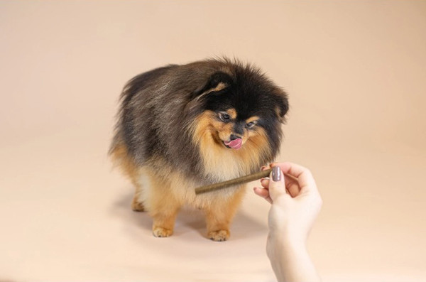 Изображение товара Лакомство для собак Nature's Protection Lifestyle Grain Free с лососем / KIKNPLS47204 (110г)