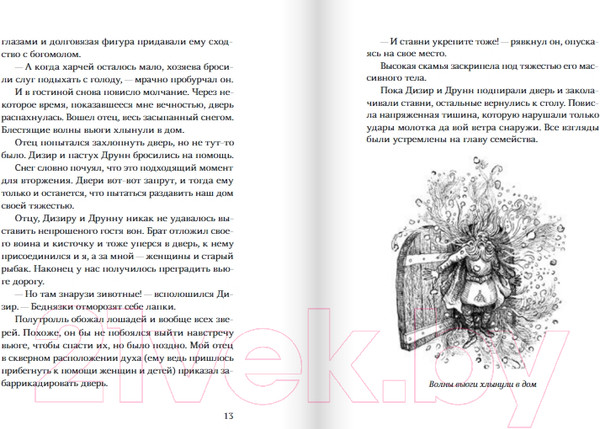 Изображение товара Книга Издательство Самокат Морфир Бьерн / 9785001675709 (Лавашри Тома)