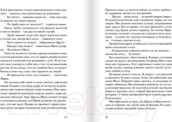 Изображение товара Книга Издательство Самокат Морфир Бьерн / 9785001675709 (Лавашри Тома)